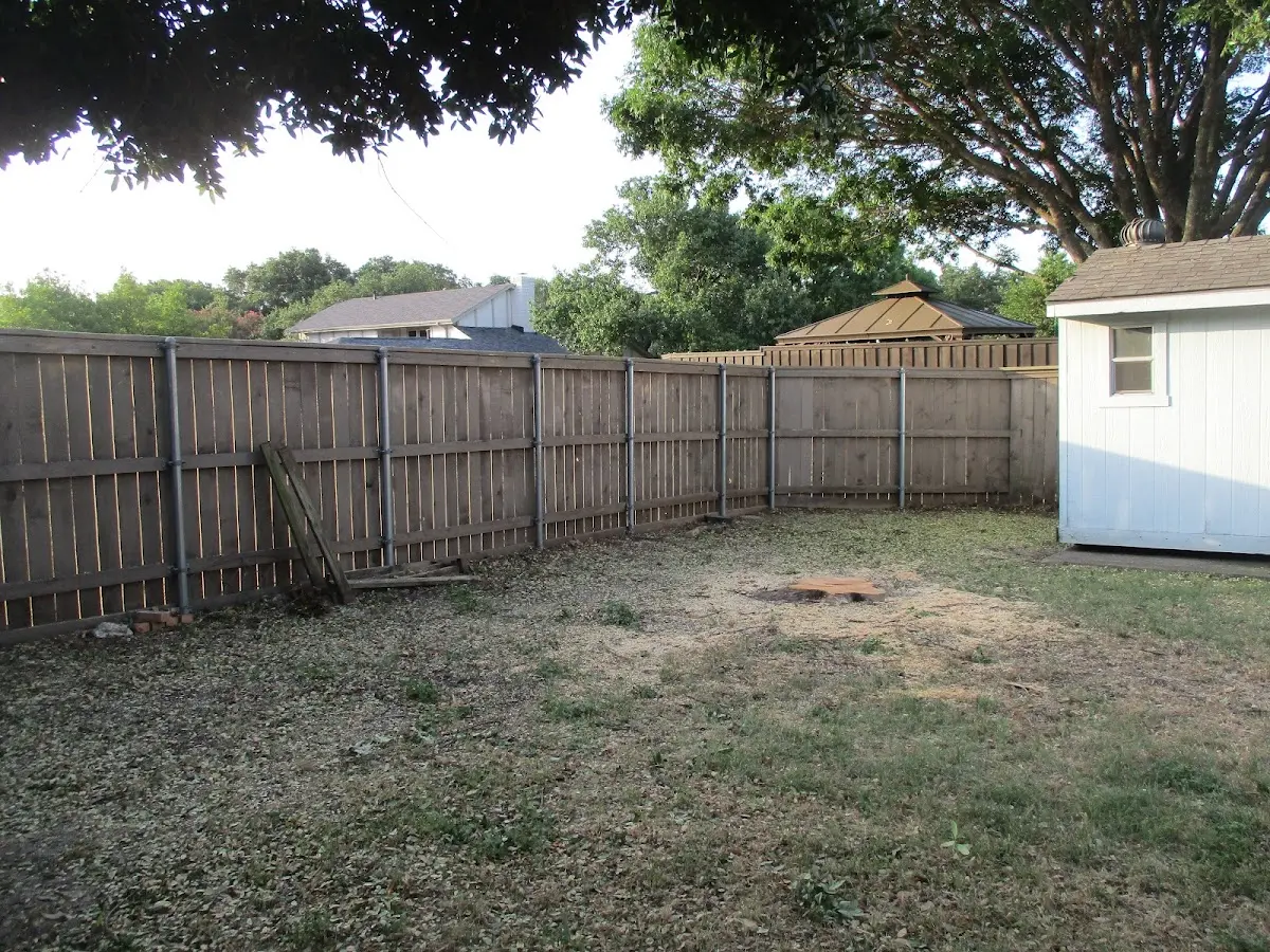 Cleared yard after professional tree removal in Ponte Vedra
